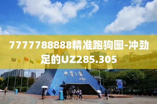 7777788888精准跑狗图-冲劲足的UZ285.305