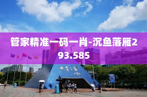 管家精准一码一肖-沉鱼落雁293.585