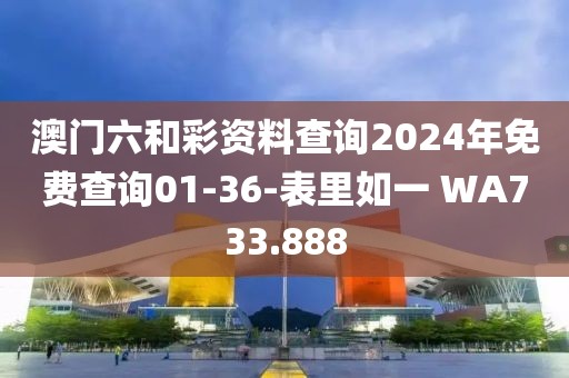 澳门六和彩资料查询2024年免费查询01-36-表里如一 WA733.888