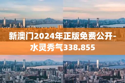 新澳门2024年正版免费公开-水灵秀气338.855