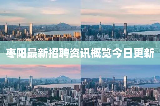 枣阳最新招聘资讯概览今日更新