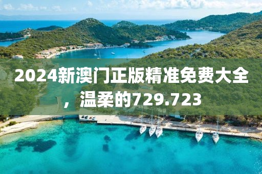 2024新澳门正版精准免费大全，温柔的729.723