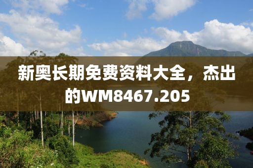 新奥长期免费资料大全，杰出的WM8467.205