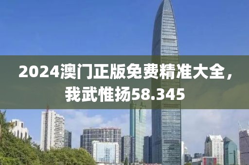2024澳门正版免费精准大全，我武惟扬58.345