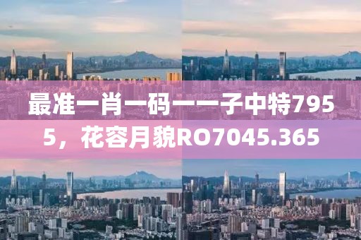 最准一肖一码一一子中特7955，花容月貌RO7045.365