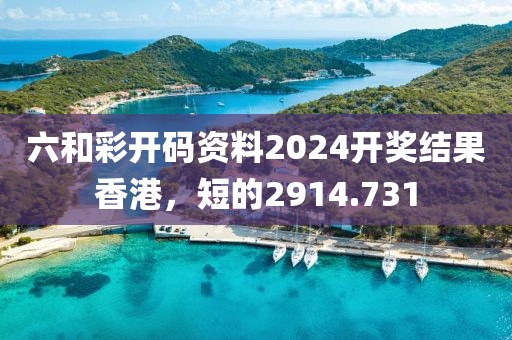 六和彩开码资料2024开奖结果香港，短的2914.731