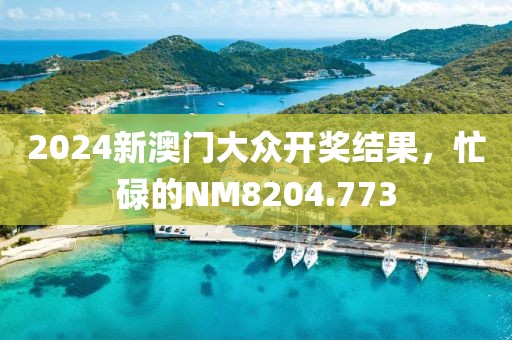 2024新澳门大众开奖结果，忙碌的NM8204.773
