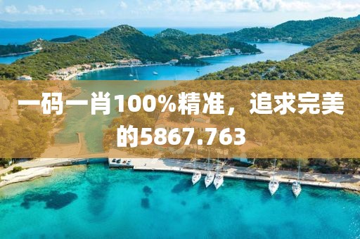 一码一肖100%精准，追求完美的5867.763