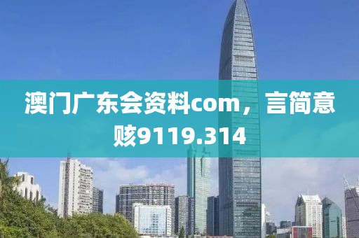 澳门广东会资料com，言简意赅9119.314