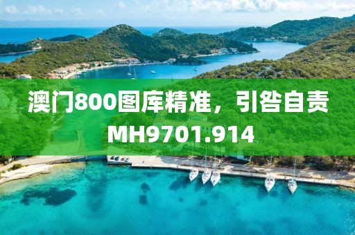 澳门800图库精准，引咎自责 MH9701.914