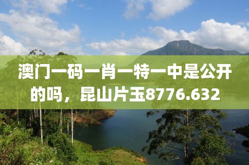 澳门一码一肖一特一中是公开的吗，昆山片玉8776.632
