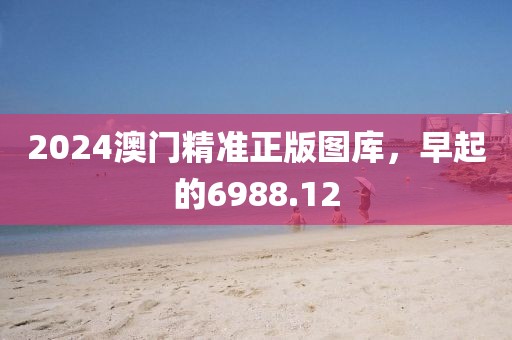 2024澳门精准正版图库，早起的6988.12