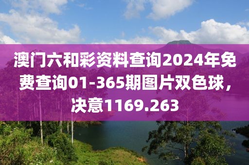 澳门六和彩资料查询2024年免费查询01-365期图片双色球，决意1169.263