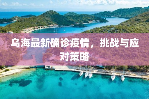 乌海最新确诊疫情，挑战与应对策略