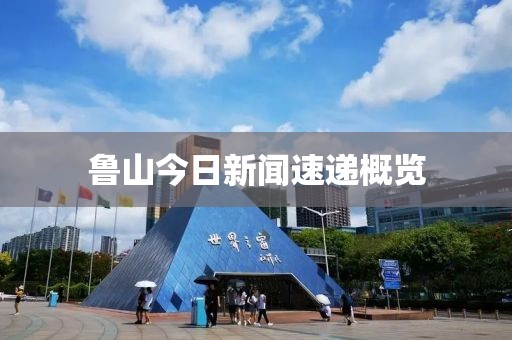 2024年12月 第561页