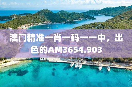 澳门精准一肖一码一一中，出色的AM3654.903