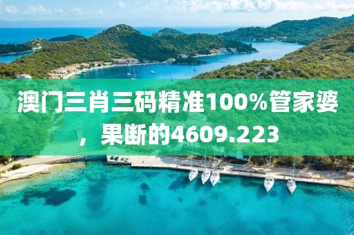 澳门三肖三码精准100%管家婆，果断的4609.223