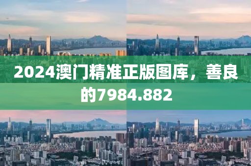 2024澳门精准正版图库，善良的7984.882