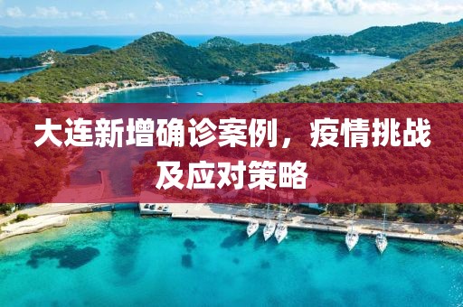 大连新增确诊案例，疫情挑战及应对策略