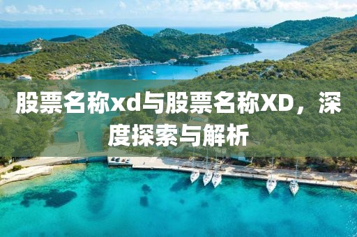 股票名称xd与股票名称XD，深度探索与解析