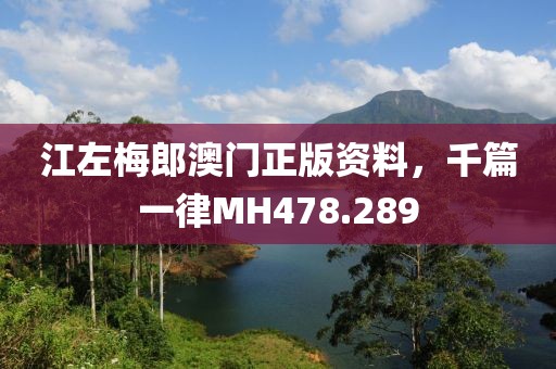 江左梅郎澳门正版资料，千篇一律MH478.289