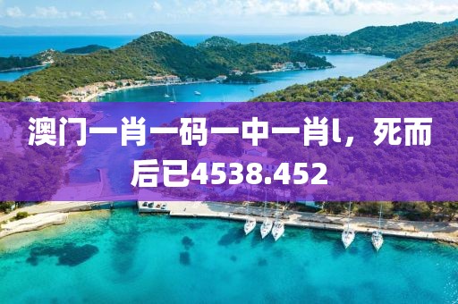 澳门一肖一码一中一肖l，死而后已4538.452
