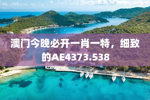 澳门今晚必开一肖一特，细致的AE4373.538