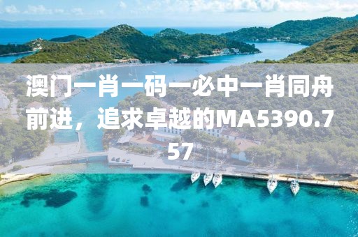 澳门一肖一码一必中一肖同舟前进，追求卓越的MA5390.757