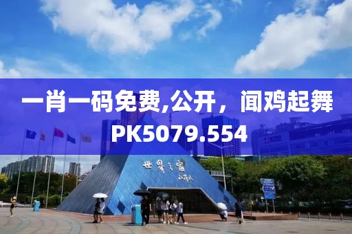 一肖一码免费,公开，闻鸡起舞 PK5079.554