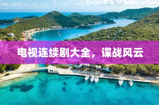 电视连续剧大全，谍战风云