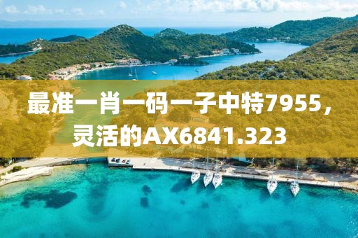 最准一肖一码一子中特7955，灵活的AX6841.323