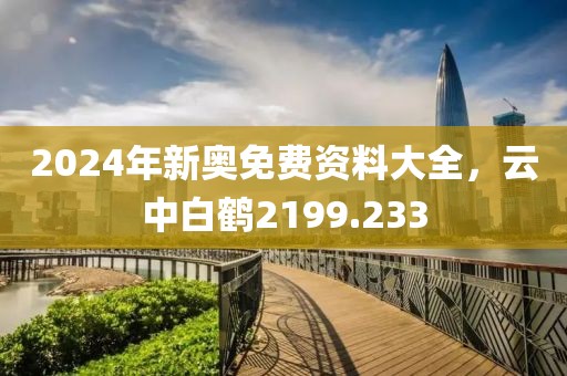 2024年新奥免费资料大全，云中白鹤2199.233