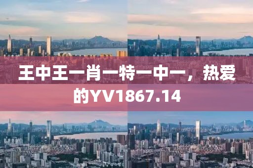 王中王一肖一特一中一，热爱的YV1867.14