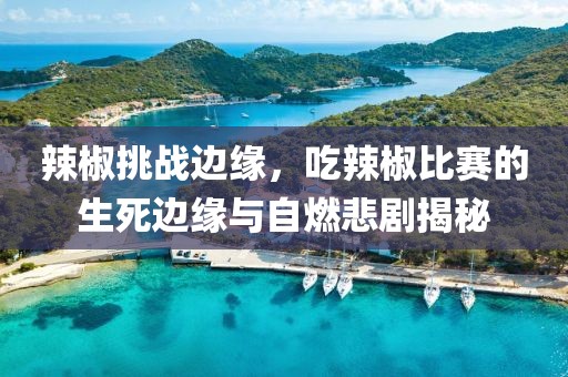 辣椒挑战边缘，吃辣椒比赛的生死边缘与自燃悲剧揭秘