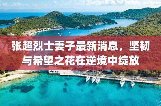 张超烈士妻子最新消息，坚韧与希望之花在逆境中绽放