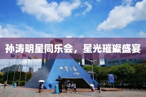 孙涛明星同乐会，星光璀璨盛宴