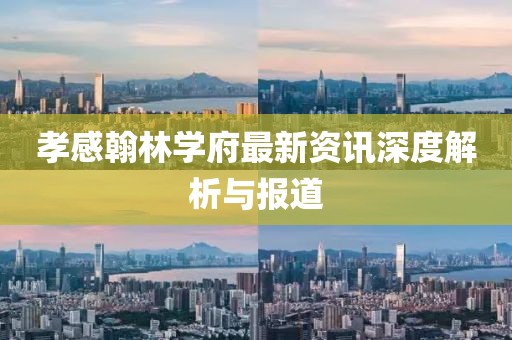 孝感翰林学府最新资讯深度解析与报道
