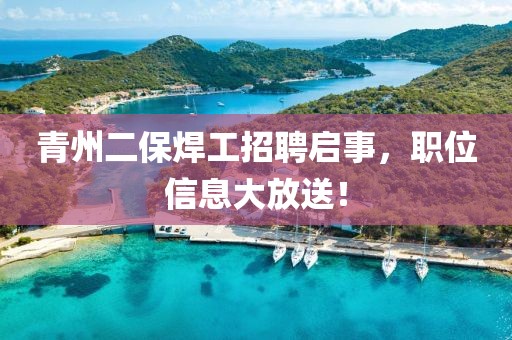青州二保焊工招聘启事，职位信息大放送！