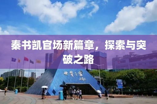 秦书凯官场新篇章，探索与突破之路