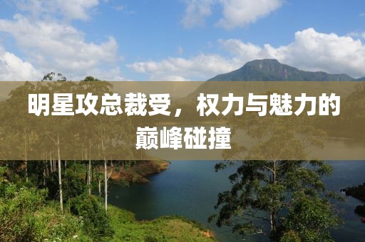 明星攻总裁受，权力与魅力的巅峰碰撞