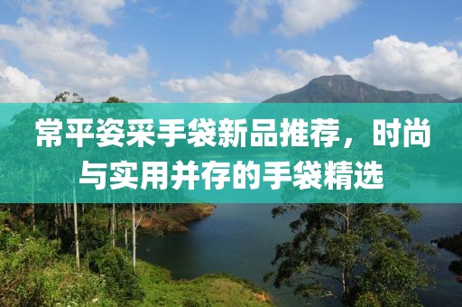 常平姿采手袋新品推荐，时尚与实用并存的手袋精选