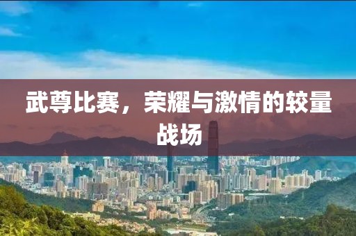 武尊比赛，荣耀与激情的较量战场