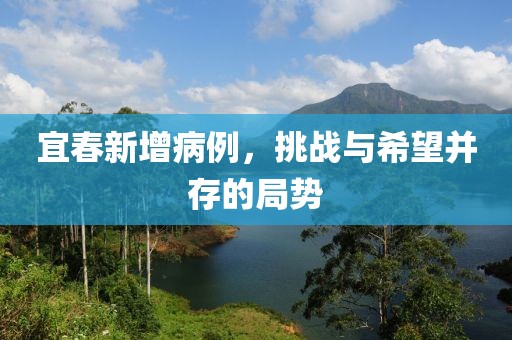 宜春新增病例，挑战与希望并存的局势