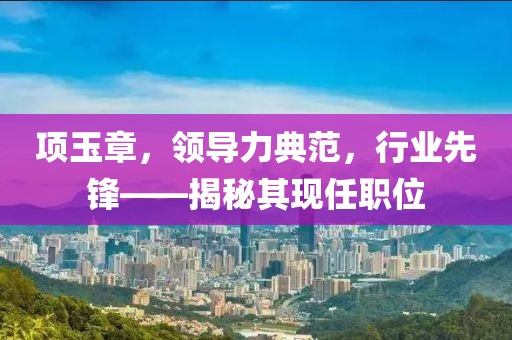 项玉章，领导力典范，行业先锋——揭秘其现任职位