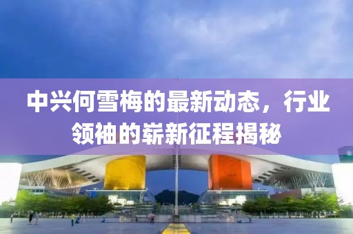 中兴何雪梅的最新动态，行业领袖的崭新征程揭秘