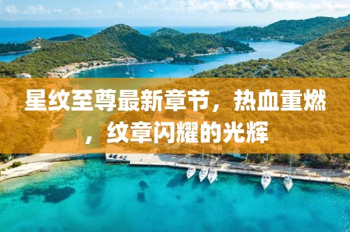 星纹至尊最新章节，热血重燃，纹章闪耀的光辉