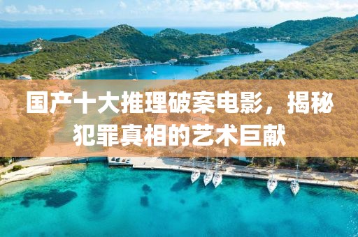 国产十大推理破案电影，揭秘犯罪真相的艺术巨献