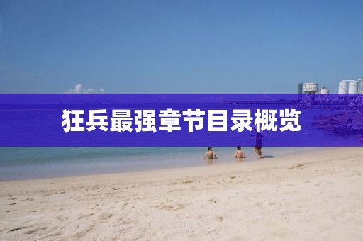狂兵最强章节目录概览