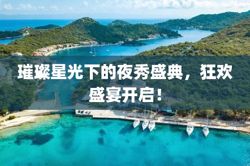 璀璨星光下的夜秀盛典，狂欢盛宴开启！
