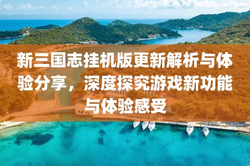 新三国志挂机版更新解析与体验分享，深度探究游戏新功能与体验感受